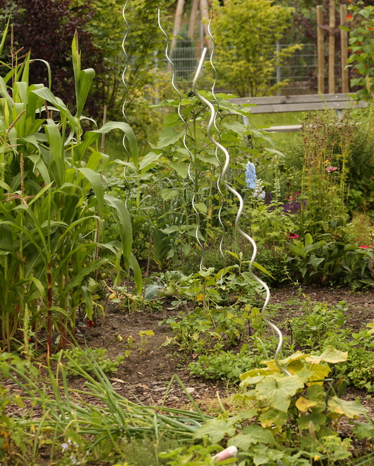 Beet im Gemeinschaftsgarten. Ein bepflanztes Beet im Gemeinschaftsgarten.
