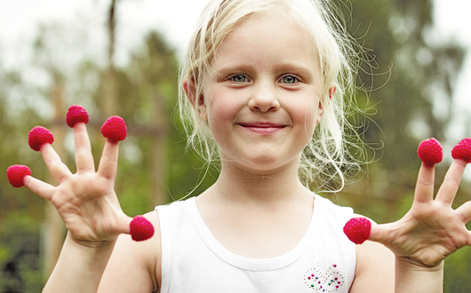 Kind mit Himbeeren auf den Fingerkuppen. Kind mit Himbeeren auf den Fingerkuppen.